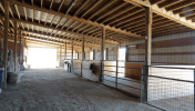 Livestock Barn